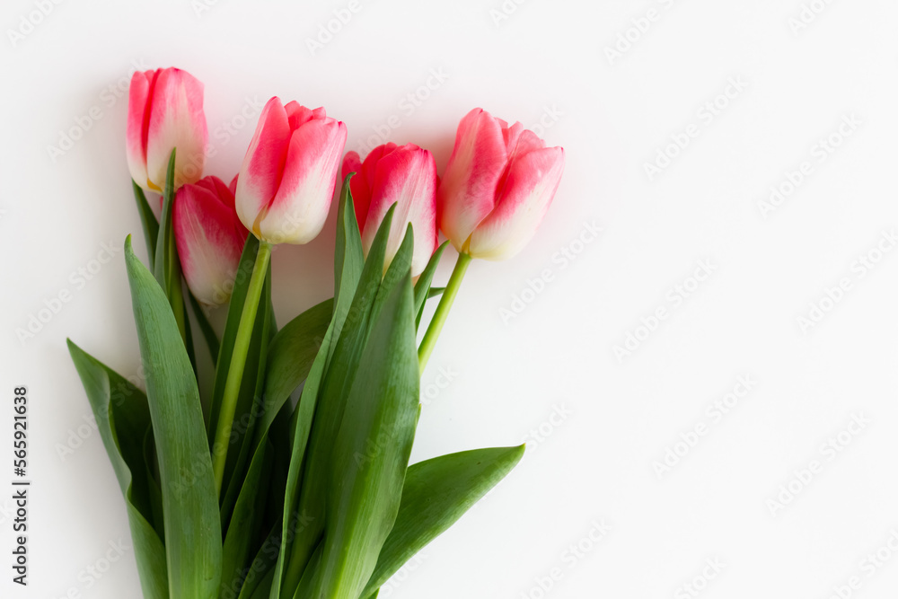 Pink tulip flowers bouquet on white background. Flat lay, top view. Selective focus. Shallow depth of field