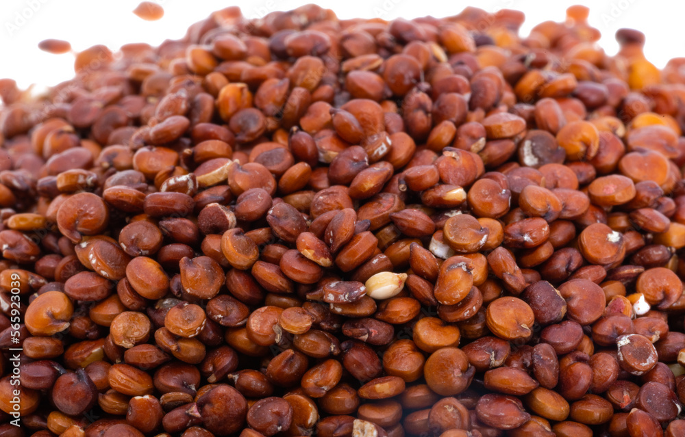 Fototapeta premium red quinoa isolated