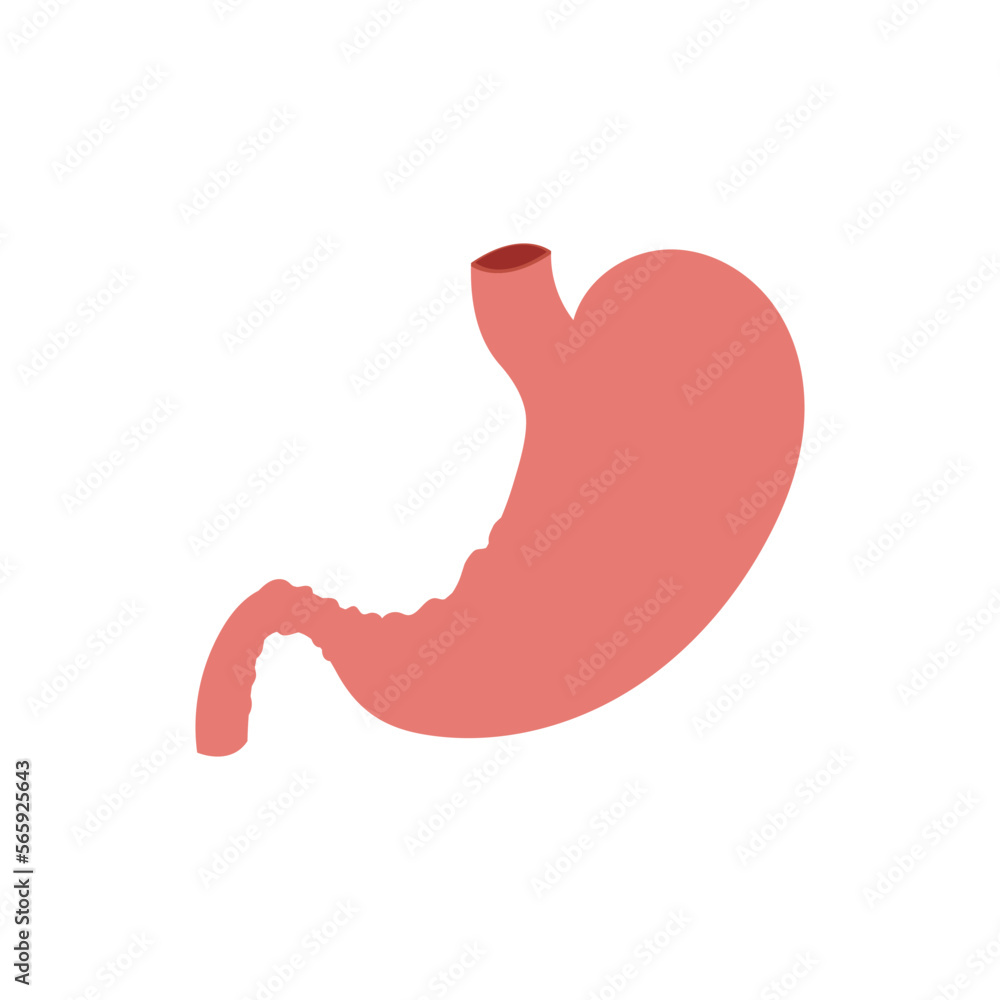 Stomach logo icon illustration vector flat and symbol design Stomach logo icon illustration vector flat and symbol design