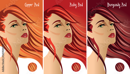 Red hair colours set