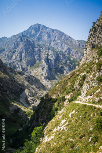 Mountain landscape, Picos de Europa, Asturias, Spain © daboost