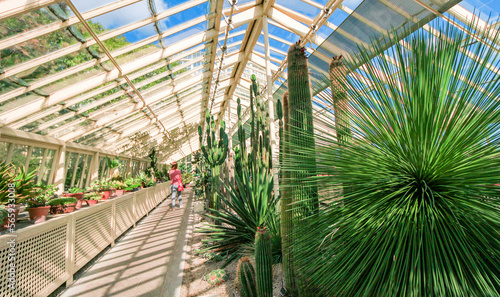 DUBLIN  IRELAND - AUGUST 4  2022  Wide Angle View of the interior of a glasshouse of The National Botanic Gardens in Dublin  Ireland in a sunny day with blue sky.