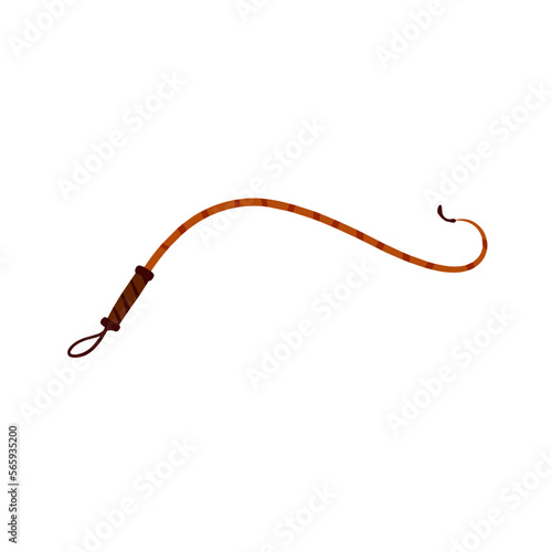 Whip for training an animal. Long cord.