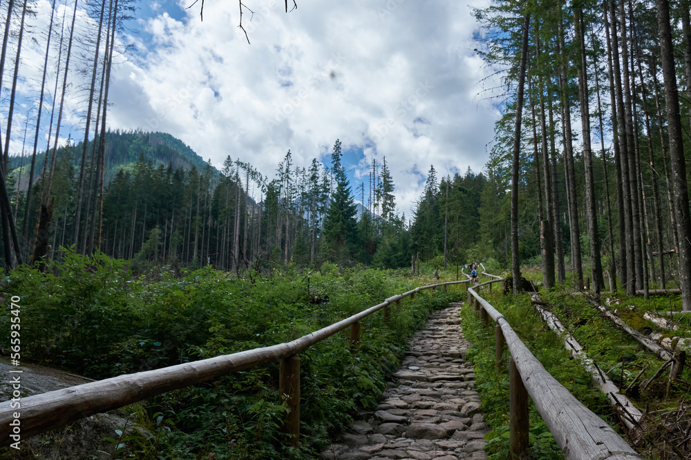 Szlak na Morskie Oko 4 Szlak na Morskie Oko 4