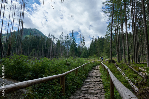 Fototapeta Naklejka Na Ścianę i Meble -  Szlak na Morskie Oko 4