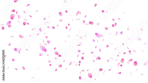 鮮やかなピンク色の桜の花びらが舞う桜吹雪の背景イラスト