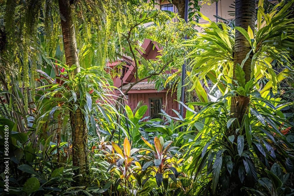 Exterior details of Jim Thompson house details and the garden in Bangkok, Thailand Exterior details of Jim Thompson house details and the garden in Bangkok, Thailand