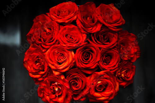 fresh dark red roses close up texture background for St. Valentine s Day
