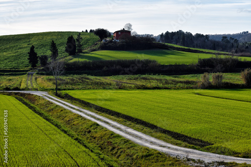 landscape in region