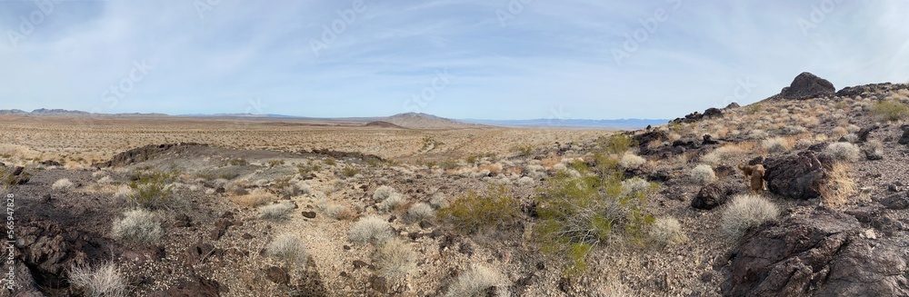 Desert panorama 