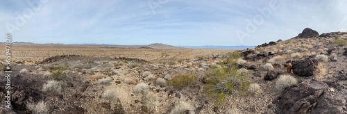 Desert panorama 
