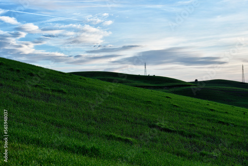 field and blue sky