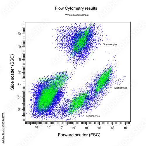 The flow cytometry result of Whole blood sample that analyzes in Forward and Side scatter parameter and separated to Granulocyte, Monocytes and Lymphocytes