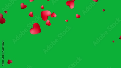 Red hearts falling animation in green screen for valentine and wedding background