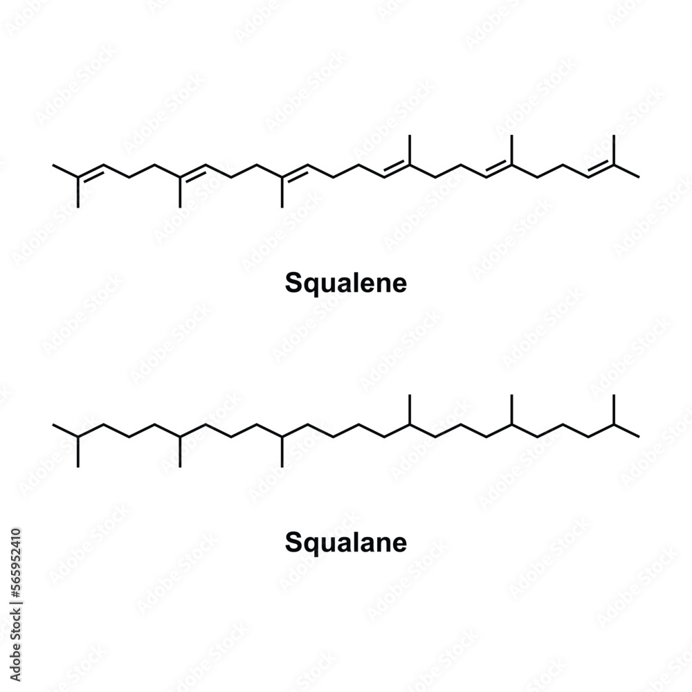 Squalene and Squalane Chemical Formula. Vector Illustration.