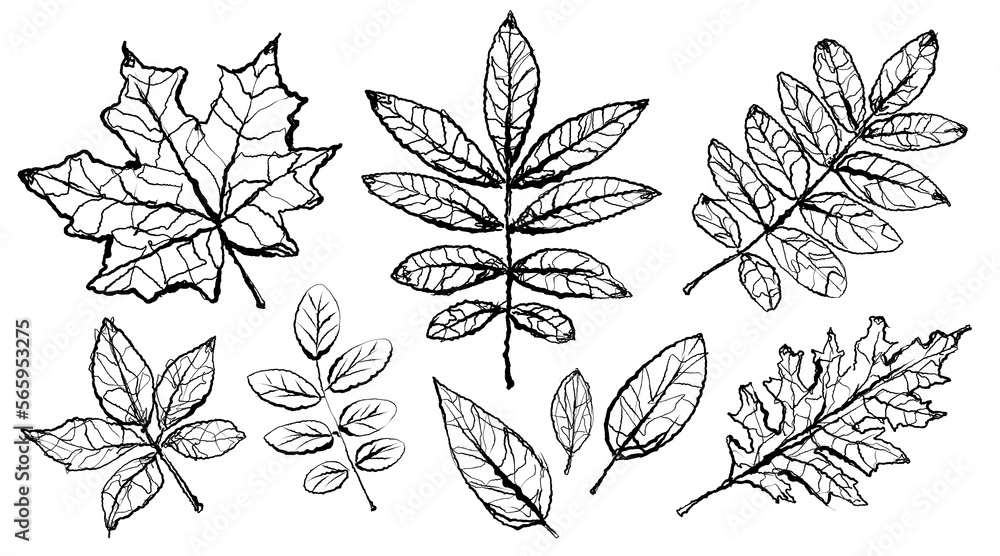 Fototapeta premium Tropical leaves. Textured ink brush drawing 