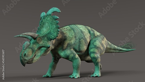 3d-illustration of an isolated extincted dinosaur albertaceratops