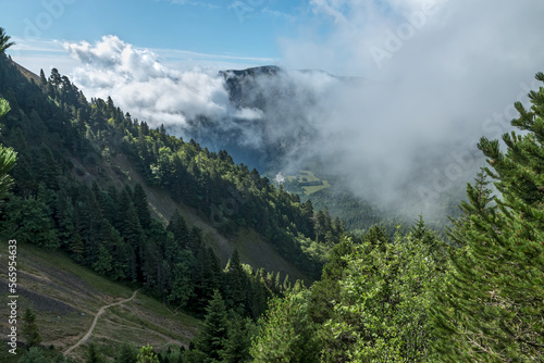 Paysage du massif du Vercors en été , Isère .