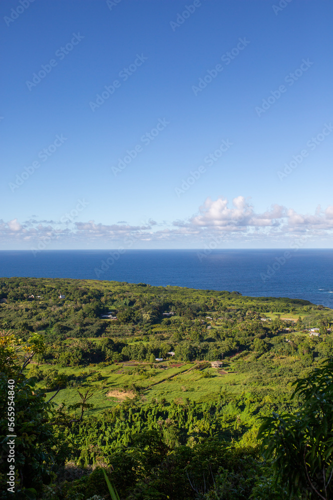 Hawaii von oben,  Grün mit Meerblick und blauem Himmel 