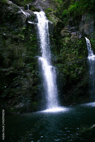 Three Bears Falls  Road to Hana  Maui  Hawaii - Wasserfall im Gr  nen  Idyllisch  Dschungel  tiefgr  ne Pflanzen und Natur auf der Inseln Maui  Hawaii  an der Stra  e nach Hana  Upper Waikani