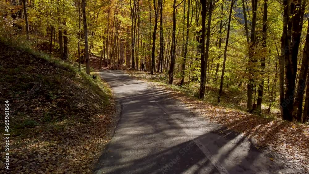 Autumn in the mountains leaves yellow and red snowy mountain peaks Autumn in the mountains leaves yellow and red snowy mountain peaks