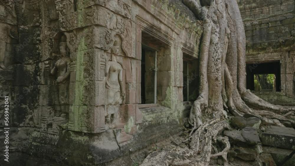 Ta Prohm Temple Bayon Style in Angkor Archeological Park - Tree Roots Over Stones, Probing Walls and Terraces Apart Ta Prohm Temple Bayon Style in Angkor Archeological Park - Tree Roots Over Stones, Probing Walls and Terraces Apart