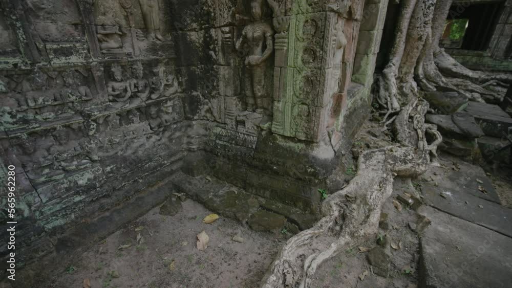 Ta Prohm Temple Bayon Style in Angkor Archeological Park - Tree Roots Over Stones, Probing Walls and Terraces Apart Ta Prohm Temple Bayon Style in Angkor Archeological Park - Tree Roots Over Stones, Probing Walls and Terraces Apart