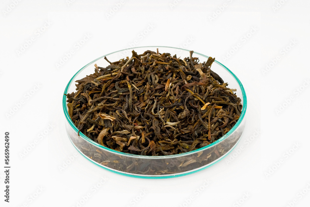 Jasmin Tee Jasmin Tee