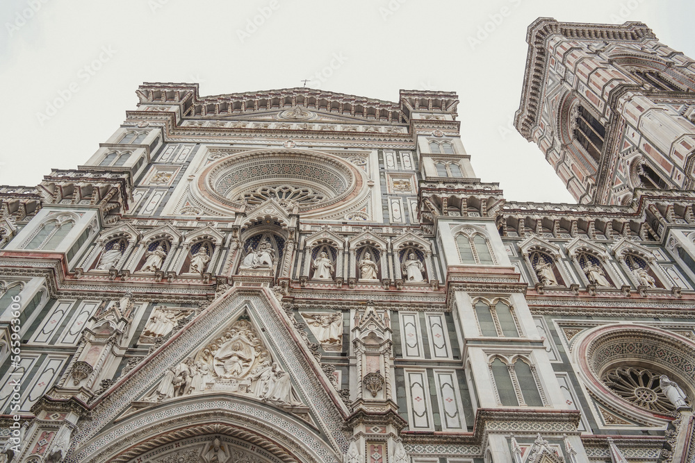 Fototapeta premium cathedral del fiore