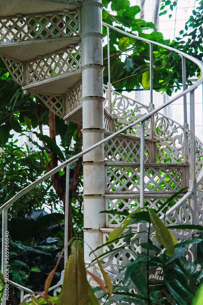 people going up a spiral staircase surrounded by plants people going up a spiral staircase surrounded by plants