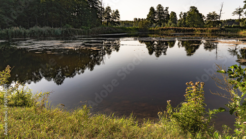 Fototapeta Naklejka Na Ścianę i Meble -  View of the lake in the forest on a sunnz,summer daz in Podlasie ,Poland