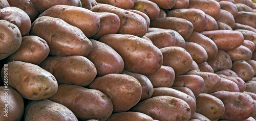 Closeup of pile of potatoes for sale at open market in Sao Paulo city, Brazil photo