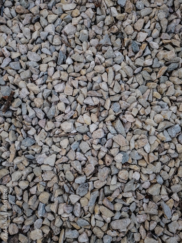White crushed stone, on which branches and small leaves lie