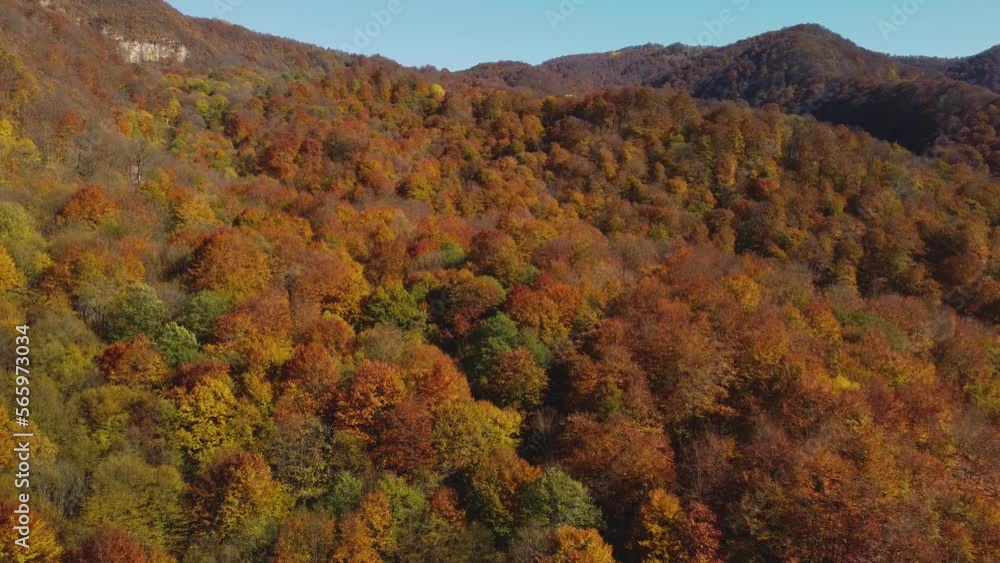 Autumn in the mountains leaves yellow and red snowy mountain peaks Autumn in the mountains leaves yellow and red snowy mountain peaks