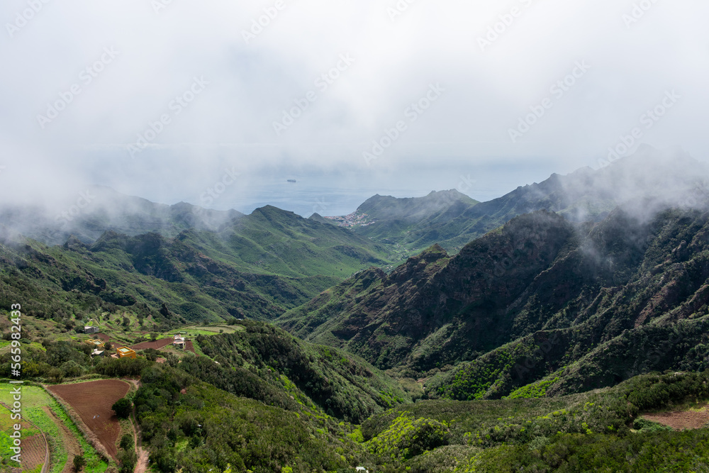 Naklejka premium El valle encantado