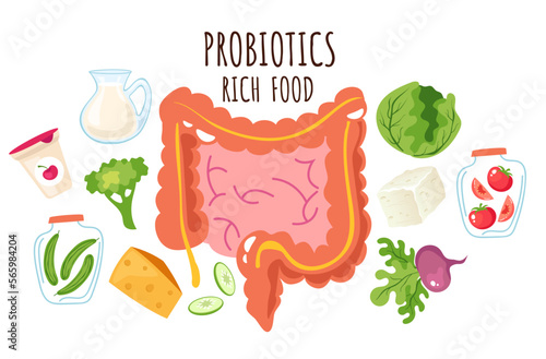 Probiotic fermented rich food vector infographics concept. Vector cartoon graphic design element illustration