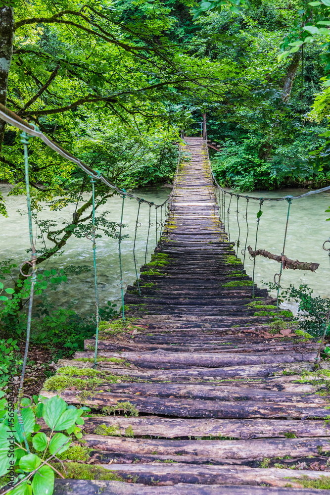 Obraz premium suspension pedestrian bridge in the valley of the Shareula river with rare plants and trees, Georgia