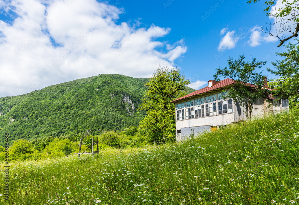 abandoned Georgian village in the valley of the Shareula river with rare plants and trees, Georgia