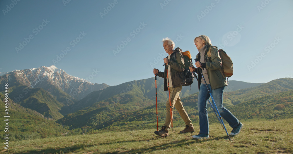Fototapeta premium Family hiking in mountains travel adventure vacations group hikers couple trekking outdoor healthy lifestyle eco tourism 