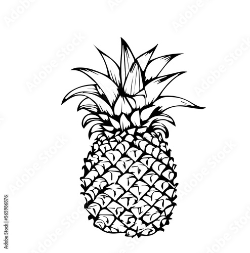 Pineapple in cartoon black and white style for coloring. Vector illustration