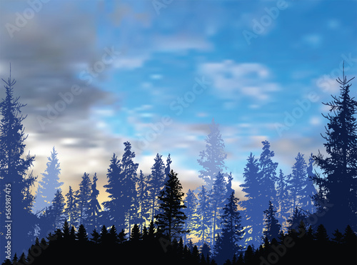 pine forest on blue cloudy sunset sky © Alexander Potapov