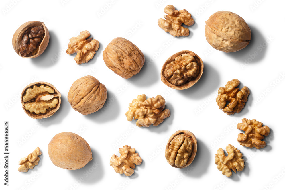 Walnuts j. regia seeds, paths, top Walnuts j. regia seeds, paths, top