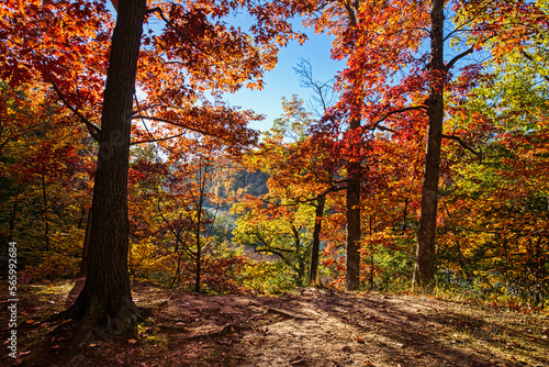 Autumn - Fall -  Seneca Park - Rochester, NY