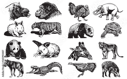 Graphical big set of animals isolated on white background,vector illustration. Zoology. Elements for design