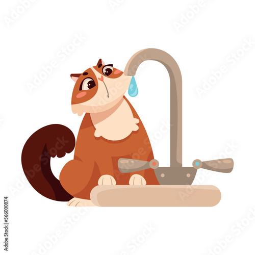 Funny Cat Domestic Pet Watching Water Drop from Tap Vector Illustration