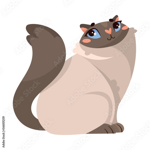 Funny Grey Cat Domestic Pet in Sitting Pose Vector Illustration