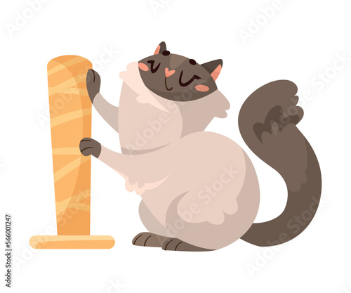 Funny Cat Domestic Pet Sharpening Claws Vector Illustration