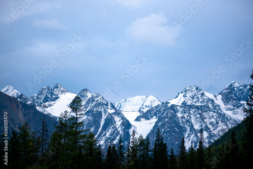 Peaks of stone mountains with white snow and glaciers behind treetops in a spruce forest in blue clouds in Altai. © Дмитрий Седаков