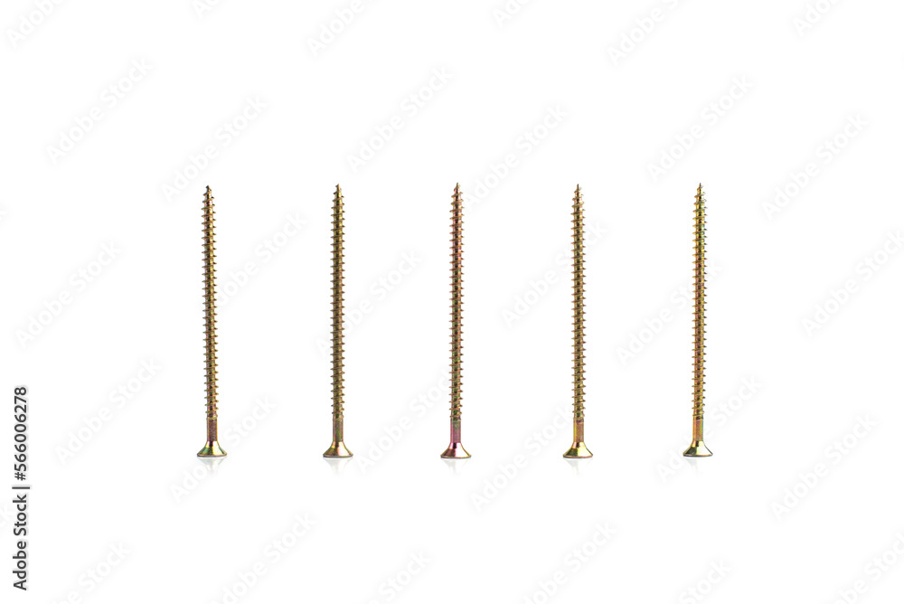 Five metal screws on a white background Five metal screws on a white background