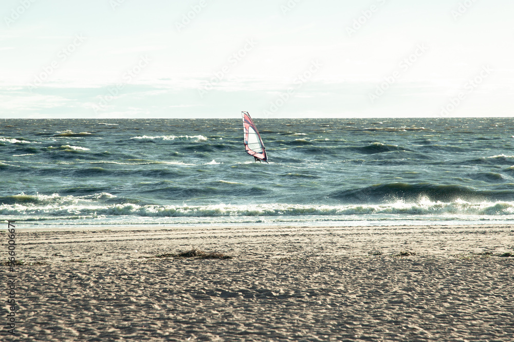 Beautiful view of windsurfing on the Gulf of Finland
